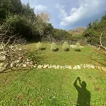 Holiday home La Higuera De Ruiloba Comillas Casasola