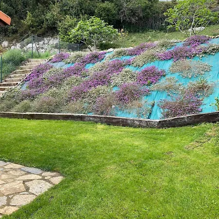 La Higuera De Ruiloba Comillas Nyaraló *